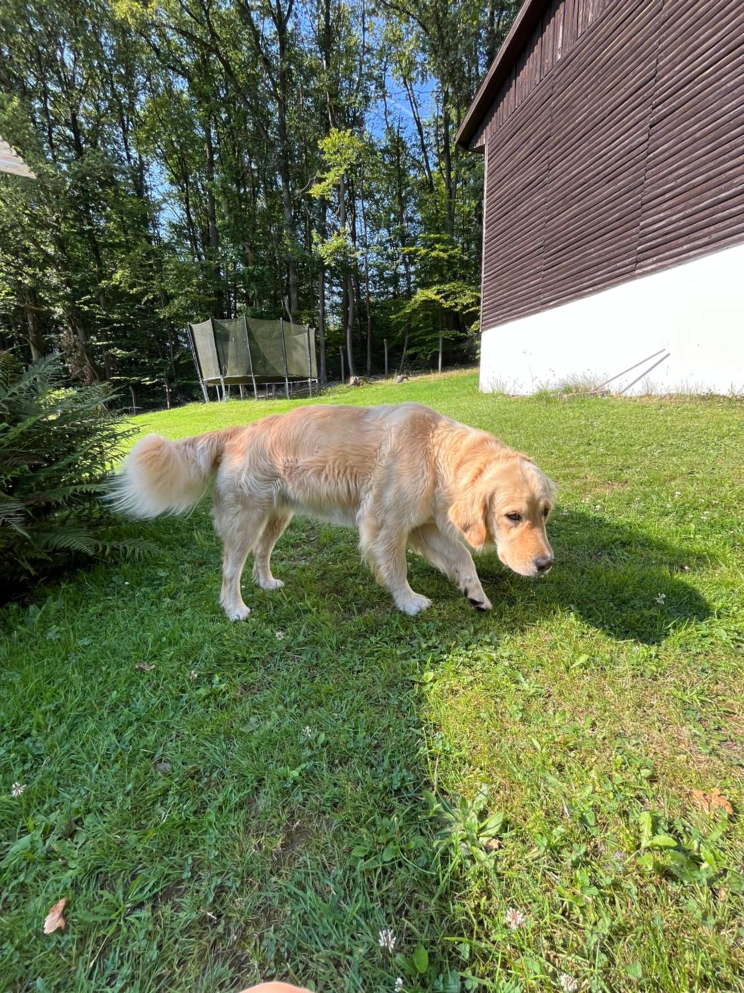 Ferienheim Mosbach Hotel Wutha-Farnroda Bagian luar foto